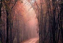 “全运会U18女篮资格赛：陕西队力克重庆队取得连胜”.