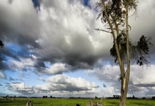 壹号娱乐：库里28+7+5 勇士97-94险胜赛季横扫尼克斯豪取7连胜.