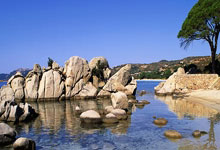 马卡：孔德希望与巴萨续约，目前双方谈判仍处于初期阶段.